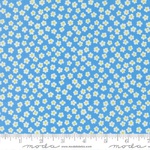 True To Hue - Hidden Facet Florals Love Dove (M1156011)