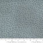 Fat Quarters - Astra - M16924-16 - Starlet Hubble