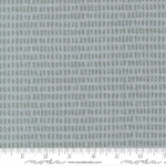 Potted Etching Mist - (26146 15)