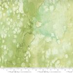 Fat Quarters - Fresh as a Daisy - M8433-51 Fresh Grass