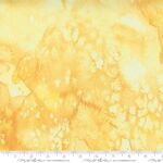 Fresh As A Daisy - M8433-52 Buttercup