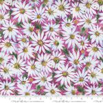 Fresh As A Daisy - M8496-11 Magenta