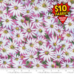 Fresh As A Daisy - M8496-11 Magenta