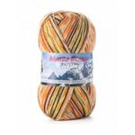Monte Bianco Sock Yarn Orange/Yellow Tones (504)