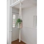 Macrame Cotton Cord Plant Hanger