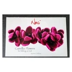 Noni Camellia Flowers