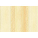 Ombre Pastels Yellow