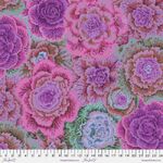 Brassica PWPJ051 Magenta