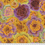 Barassica PWPJ051 Orange
