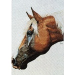 Ross Originals Cross Stitch Chart - Palomino