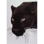 Ross Originals Cross Stitch Chart - Panther