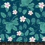 Fabric - Backyard RS208414 Cardinal Galaxy