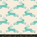 Fabric - Backyard RS208712 Bunny Run Icebox