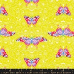 Glow Garden - Morning Moth Yellow