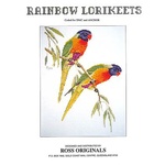 Rainbow Lorikeets