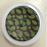 Button - 20mm Coconut Teardrop 49 Olive