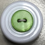 Button - 13mm Matte Shell 49 Green