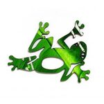 Glasses Brooch - Green Frog