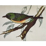 Ross Originals Cross Stitch Chart - Silvereye