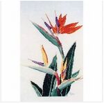 Ross Originals Cross Stitch Chart - Strelitzia 