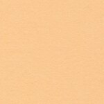 Wool Felt - WF09 Apricot