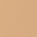 Wool Felt - WF78 Light Fawn