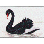 Black Swan - Ross Originals Cross Stitch Chart