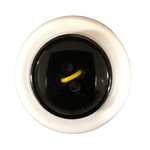 Button - 20mm Round 4 Hole Black