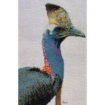  Graeme Ross Cross Stitch Chart - Cassowary