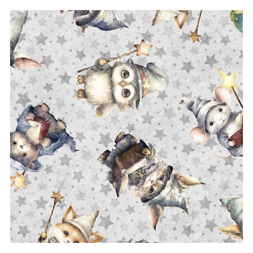 LIL' WIZARDS - Wizard Toss Grey
