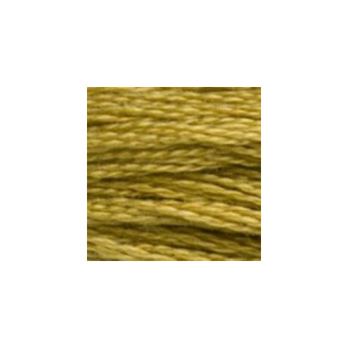 0833 Light Golden Olive S