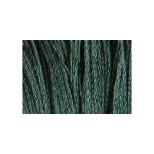 S501 (30501) Veryerdigris