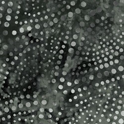 Fabric - Wilmington Prints Wide Backing Fabric
