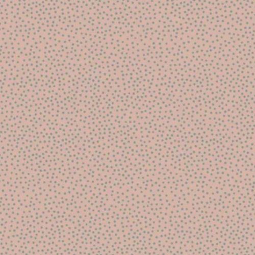 Devonstone Collection - Birdhouse Basics