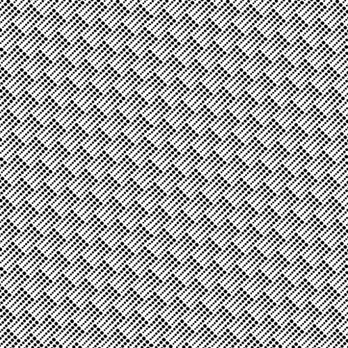 Zest Collection by Modern Quilt Studio - Zeal Zebra