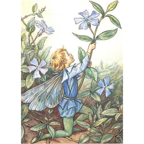 Embroidery Kit - Flower Fairies For Creative Embroidery