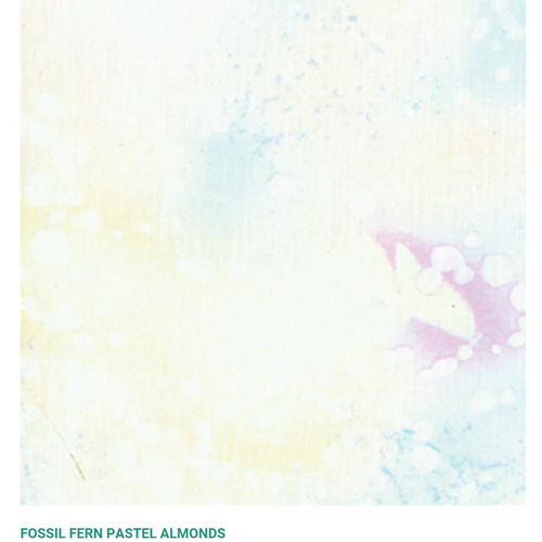 Fabric - Fossil Fern Wide Backing 528W-2M Almond/Pastel 