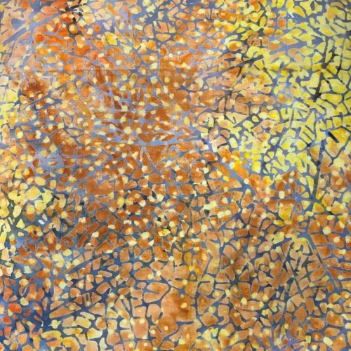 Assorted Cotton Prints