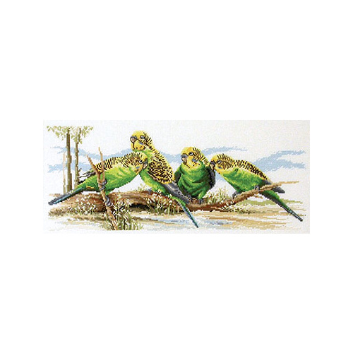 Budgie Buddies FJ01022