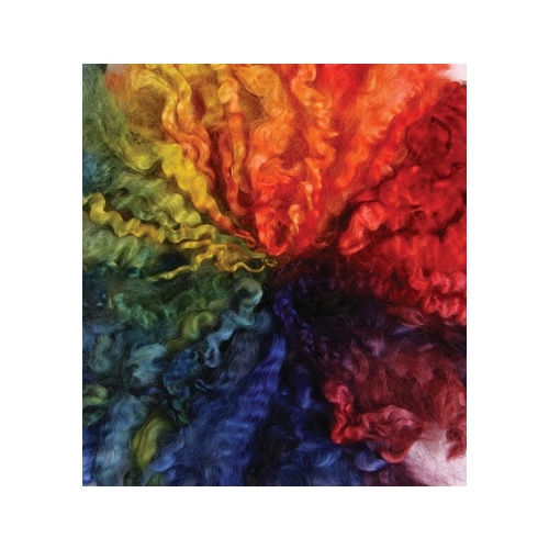 Ashford English Leicester 100gm Rainbow