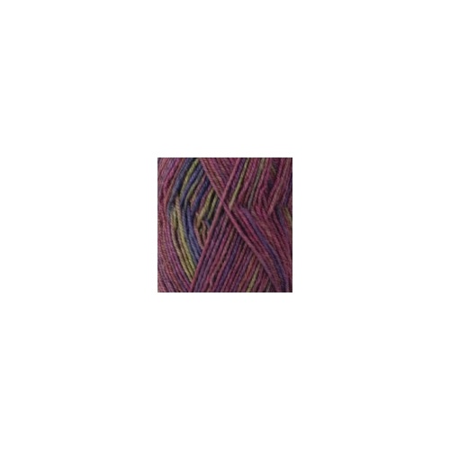 Waikiwi Print 4 Ply 452