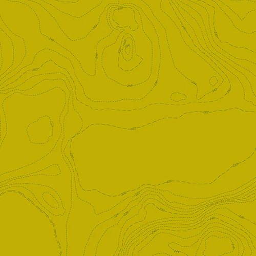 Sun Print 2023 - A556G Topography Toad