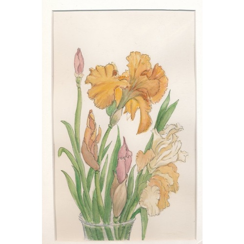 Belinda Ingram Watercolour - Iris