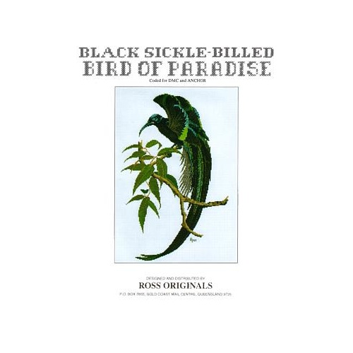 Black Sickle-Billed Bird of Paradise