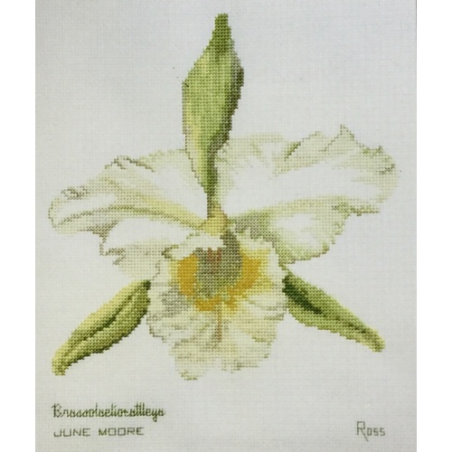 Ross Originals Cross Stitch Chart - Orchids Brassolaeliocattleya