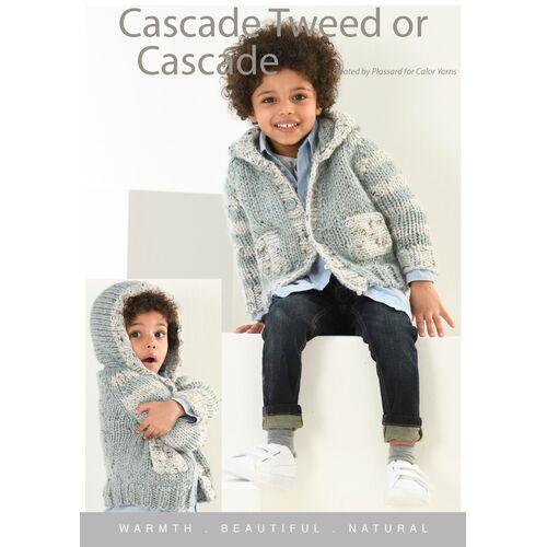 Plassard Cascade Stripe Hoodie CY109