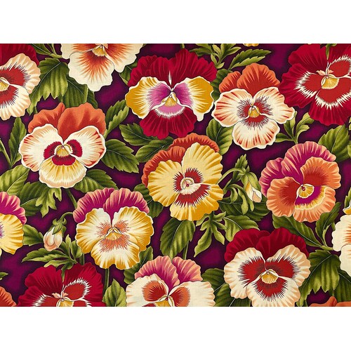 Fabric- Flower Festival - Pansies Burgundy Flame