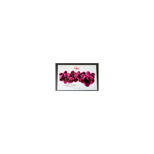 Noni Camellia Flowers