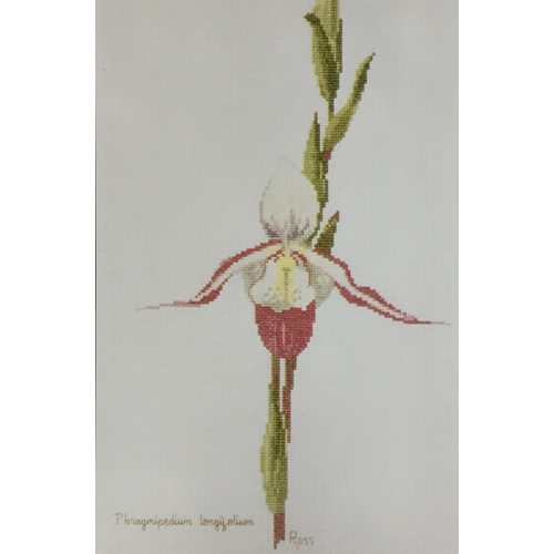 Ross Originals Cross Stitch Chart - Orchids Phragmipedium 