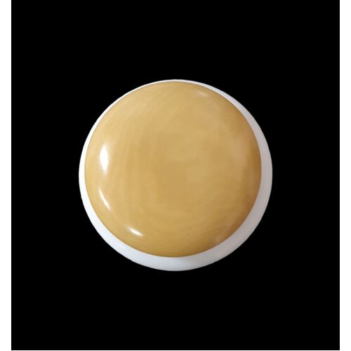 Button - 23mm  Corozo Nut Col 56